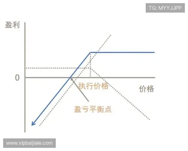 全面解析ag竞咪厅的运营模式与盈利策略，助你成为行业专家