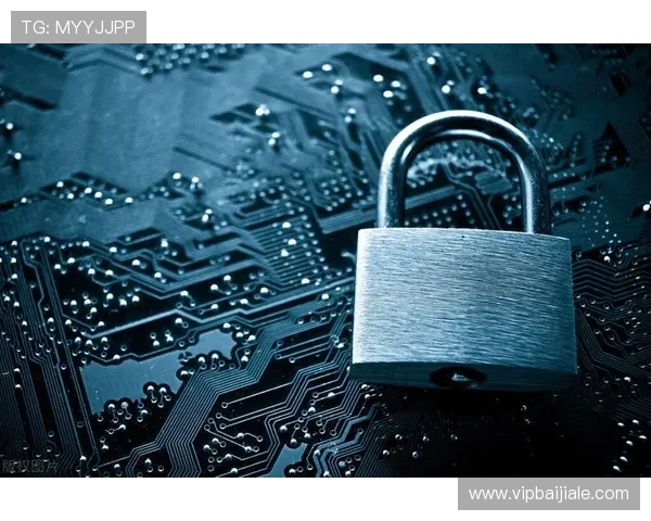 4008云顶浏览器安全性分析，保障用户隐私与数据安全的最佳选择