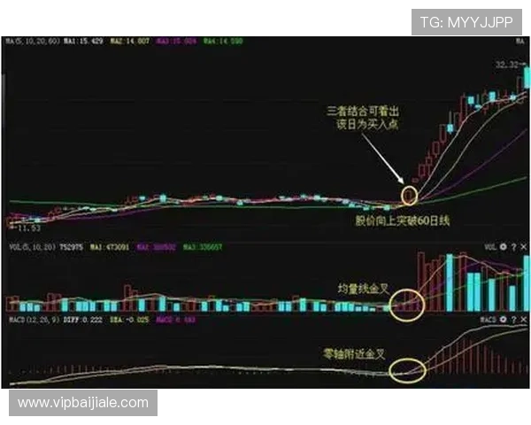 揭秘ag视讯庄闲中的常用技巧与陷阱分析让你避免陷阱稳步赢取盈利持续增长